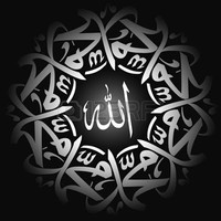 rahat noor