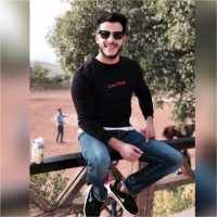 Abdalkareem Alawamleh