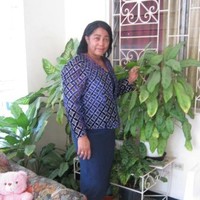 Vennetta Ogilvie