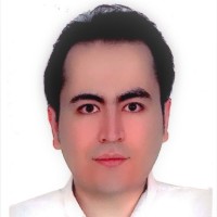 javad mirzaie
