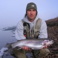 Ed Harding