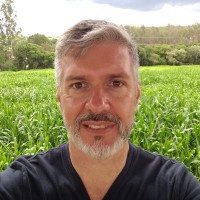 Roberto Vieira