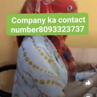 ak verma