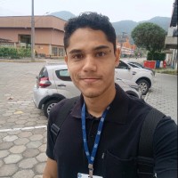 Henrique Dagostin Fernandes