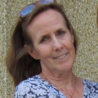 Kim Shorb
