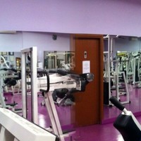 Palestra Genesis b.