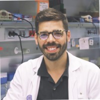 Pedro Rocha