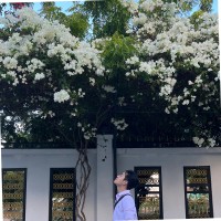 Tiềm Nguyễn Đình