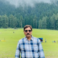 ANIL ARORA