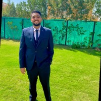 Abanoub william