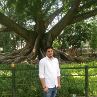 Ramnesh Tripathi