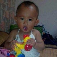 赵晓刚