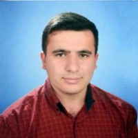 MEHMET ALİ BOYLU