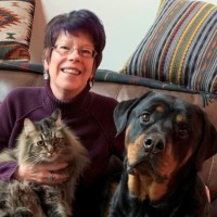 Judy Spry