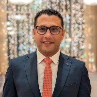 Amir Gerges, Mba