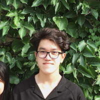 Vỹ Lưu