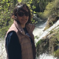 Arzu Yıldız