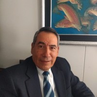 Fernando Rodriguez - Bustos