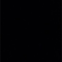 مهند الحربي