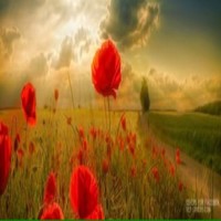 Aftab Bangash