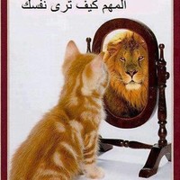 abdelkader said