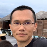 陈伟华