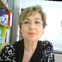 Stefania Santeusanio