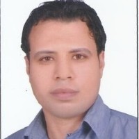 Mohamed Sherbiny