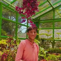 Janarthanan E
