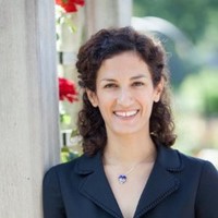 Tammar Stein