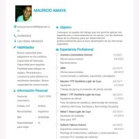 Mauricio Javier Amaya
