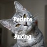 Pecinta Kucing