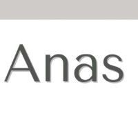 Anas Alghanmi