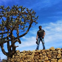 Surya Singam