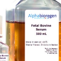 Alphabioregen Inc.