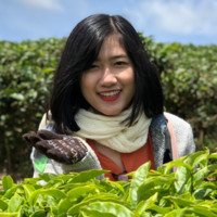Phung Mai