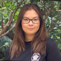 Miranda da Silva Vieira