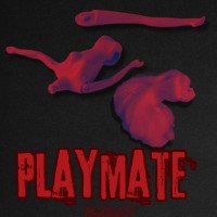 Playmate Short Film