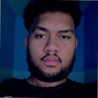 Remi Verhamme Pollin