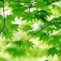 吴江伟