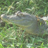 Carlos Estupi�An Mar Estupiñan Martinez