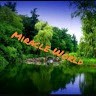 miracle world