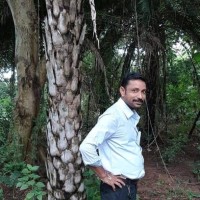 Riki Soumen Sarkar