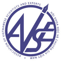 Avse Global