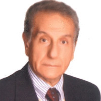 Ahmed Shoukry