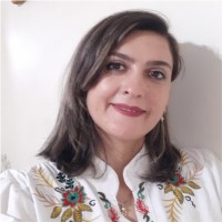 Simin Ansari