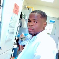 Djelili Biaou