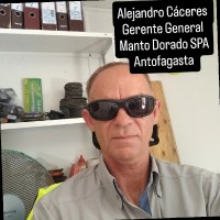 Alejandro Caceres Valdebenito