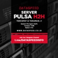 Dataspeed Server