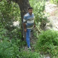 Babek Hashim